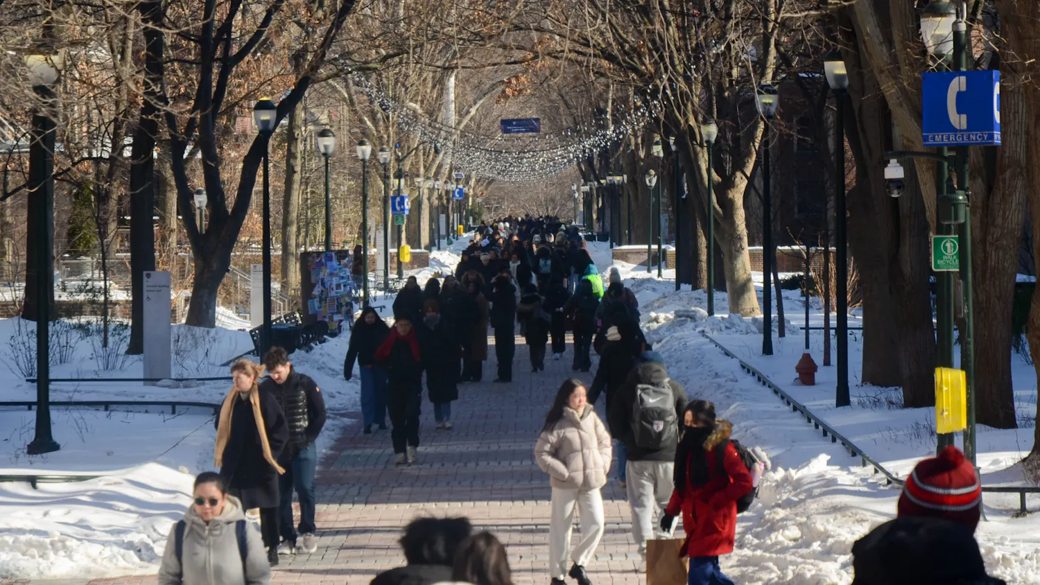 2-1-26 College Hall-Locust (Jacob Hoffberg).jpg