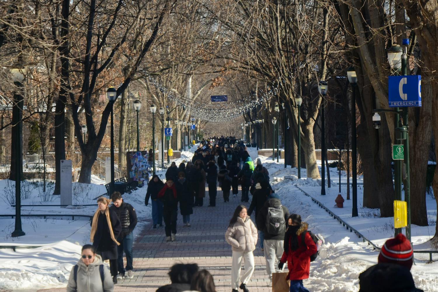 2-1-26 College Hall-Locust (Jacob Hoffberg).jpg