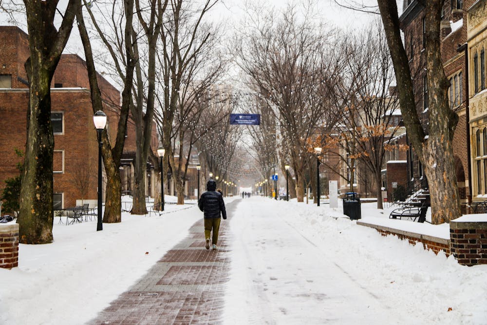 01-25-26 Snowy Penn (Connie Zhao)-1.jpg
