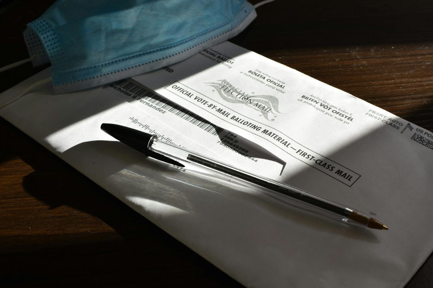 10-16-2020 Elections (Nicholas Fernandez).jpg