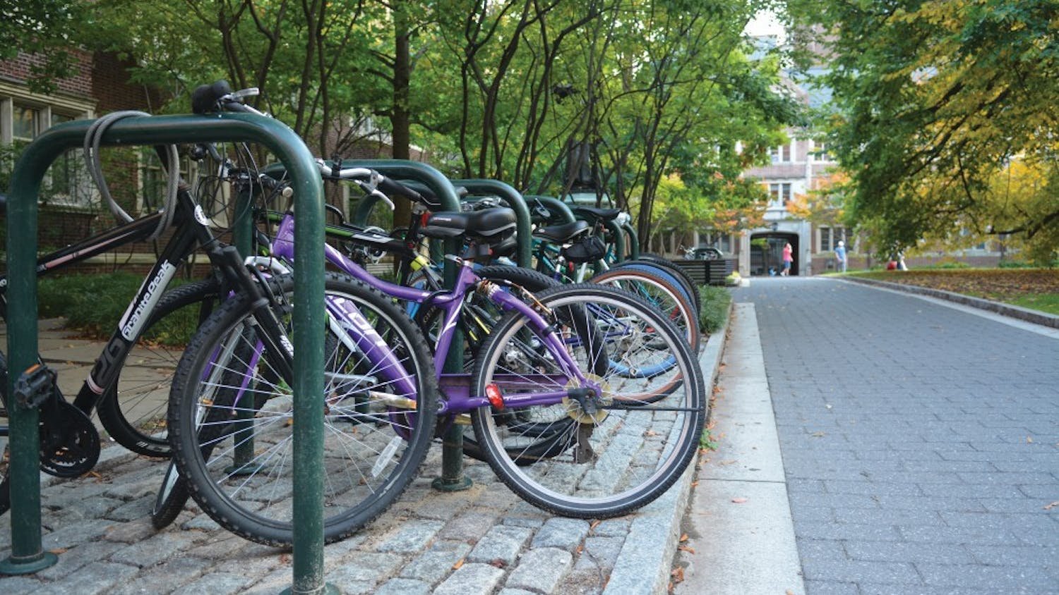 Sadie Robinson, assistant to the chair of the Department of Genetics, and professor David Barnes worked to build support for the program.