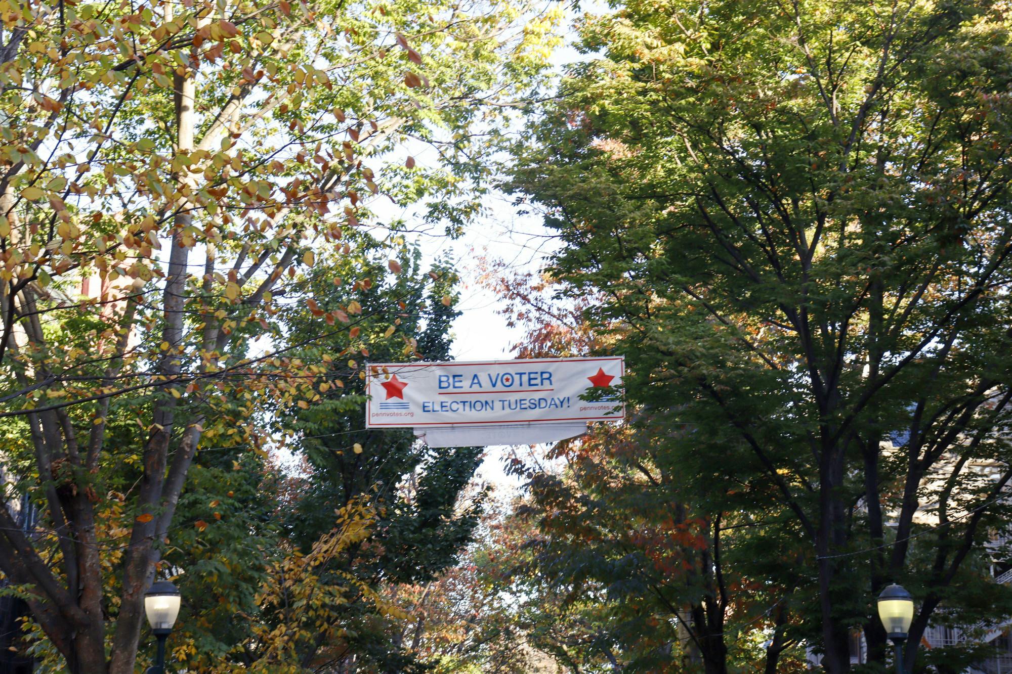 11-05-24 Election Sign (Courteney Ross).jpg