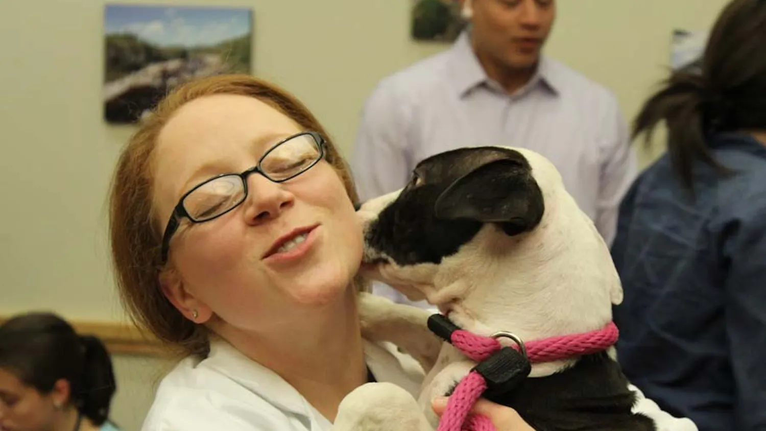 Pet the Pooches, which started in May, aims to help nurses, doctors and the staff at the Hospital of the University of Pennsylvania take a breather and destress.