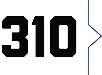 310.png