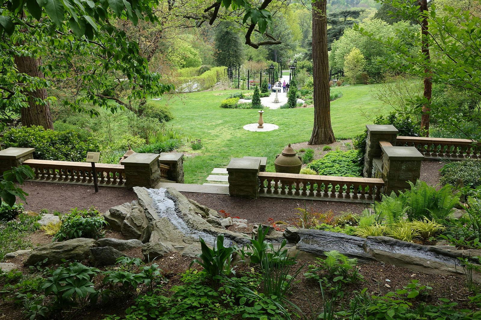 Morris_Arboretum_-_DSC00540 (Photo Courtesy of Wikimedia Commons, Daderot, CC0).JPG