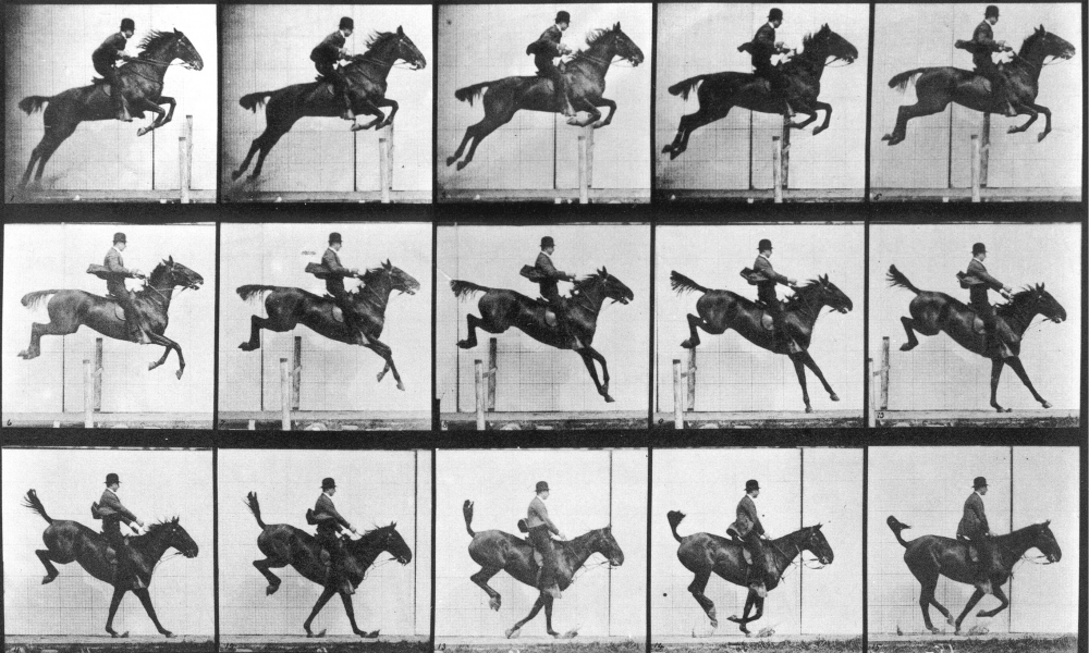 muybridge