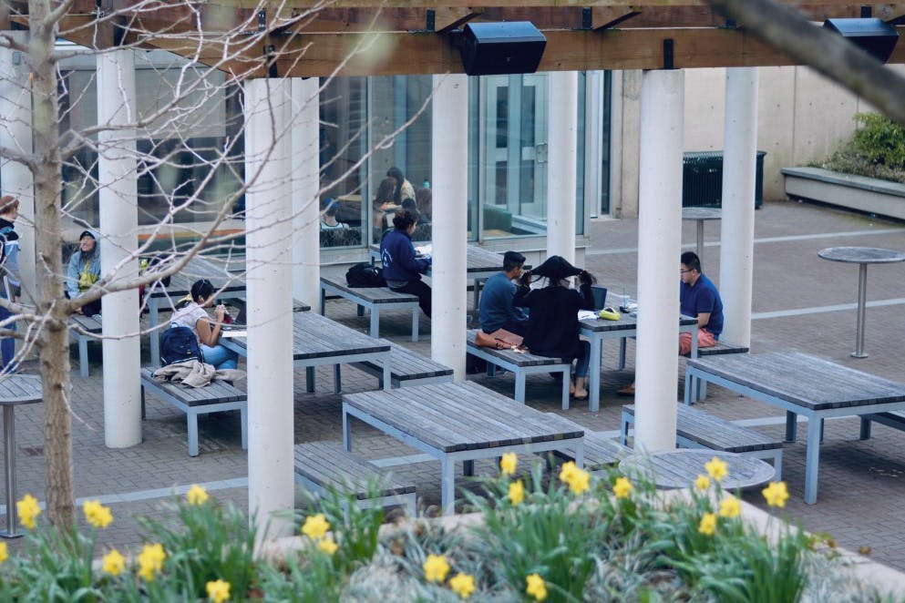 010 Transition Photo Essay Stommons Full 010.jpg .jpg