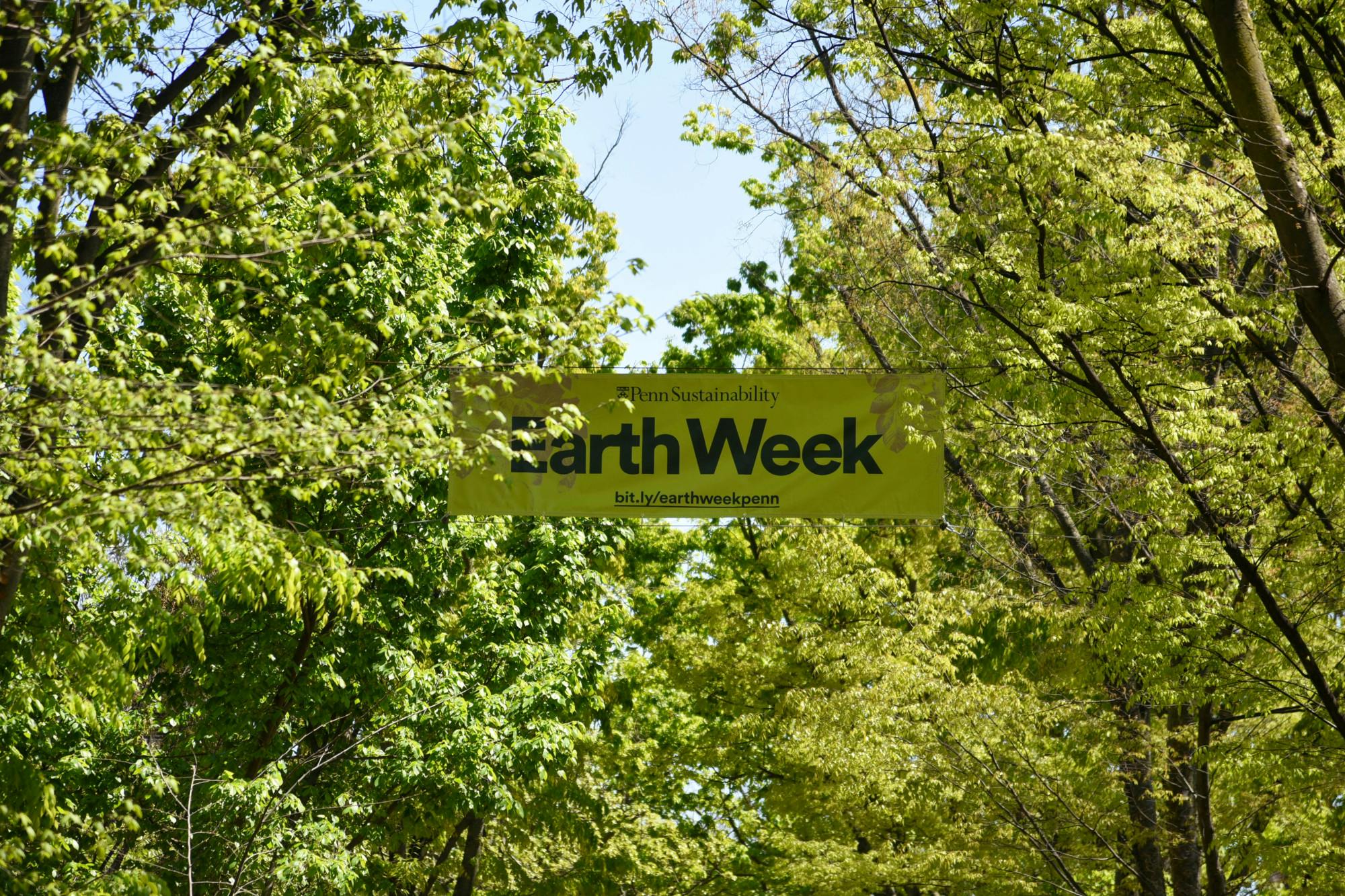 04-22-24 Earth Week Signage + Campus (Chenyao Liu).jpg