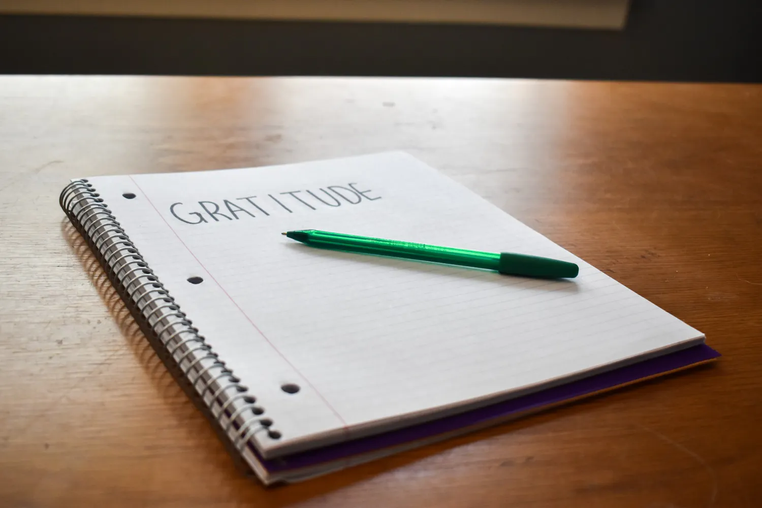 08-24-21 Photo Illustration Gratitude Journal Pen (Ana Glassman) .jpg