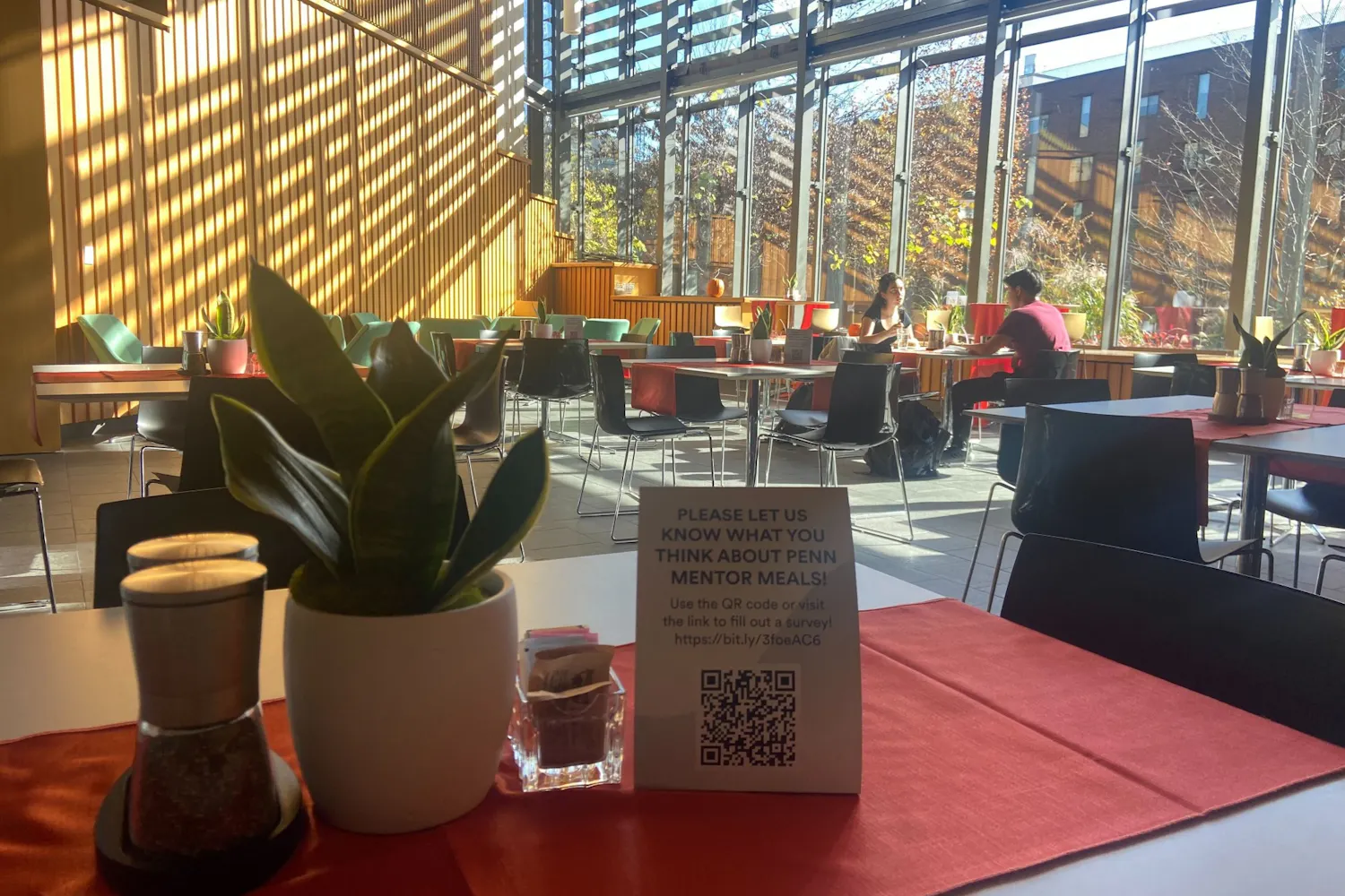 Penn Mentor Meals.jpg