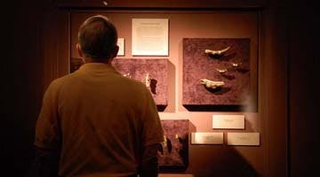 Exhibit offers a 'river of gold'