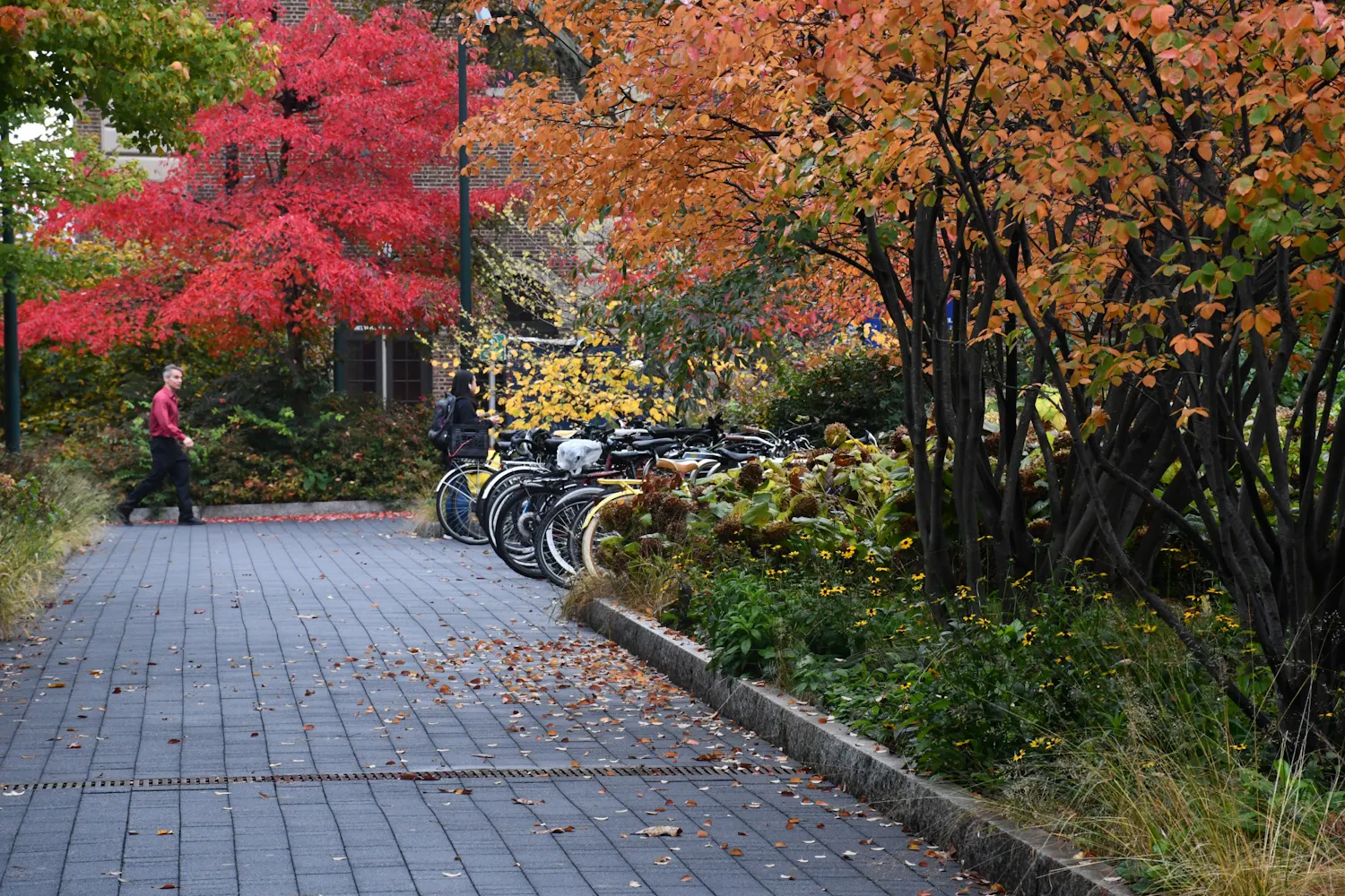 Fall Campus Rainy Day Walkways.jpg