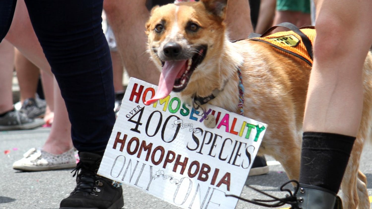 A recap in photos: Philly Pride Parade
