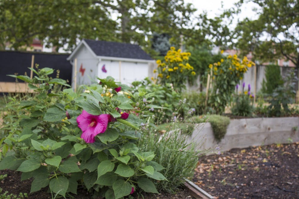 The one-acre plot sits behind the Karabots Pediatric Care Center at 48th and Market Streets. It is considered  the main volunteer project for the Democratic National Convention, which will be in Philadelphia, July 25-28