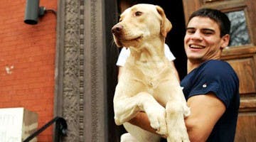 Man's best friend finds a home on campus
