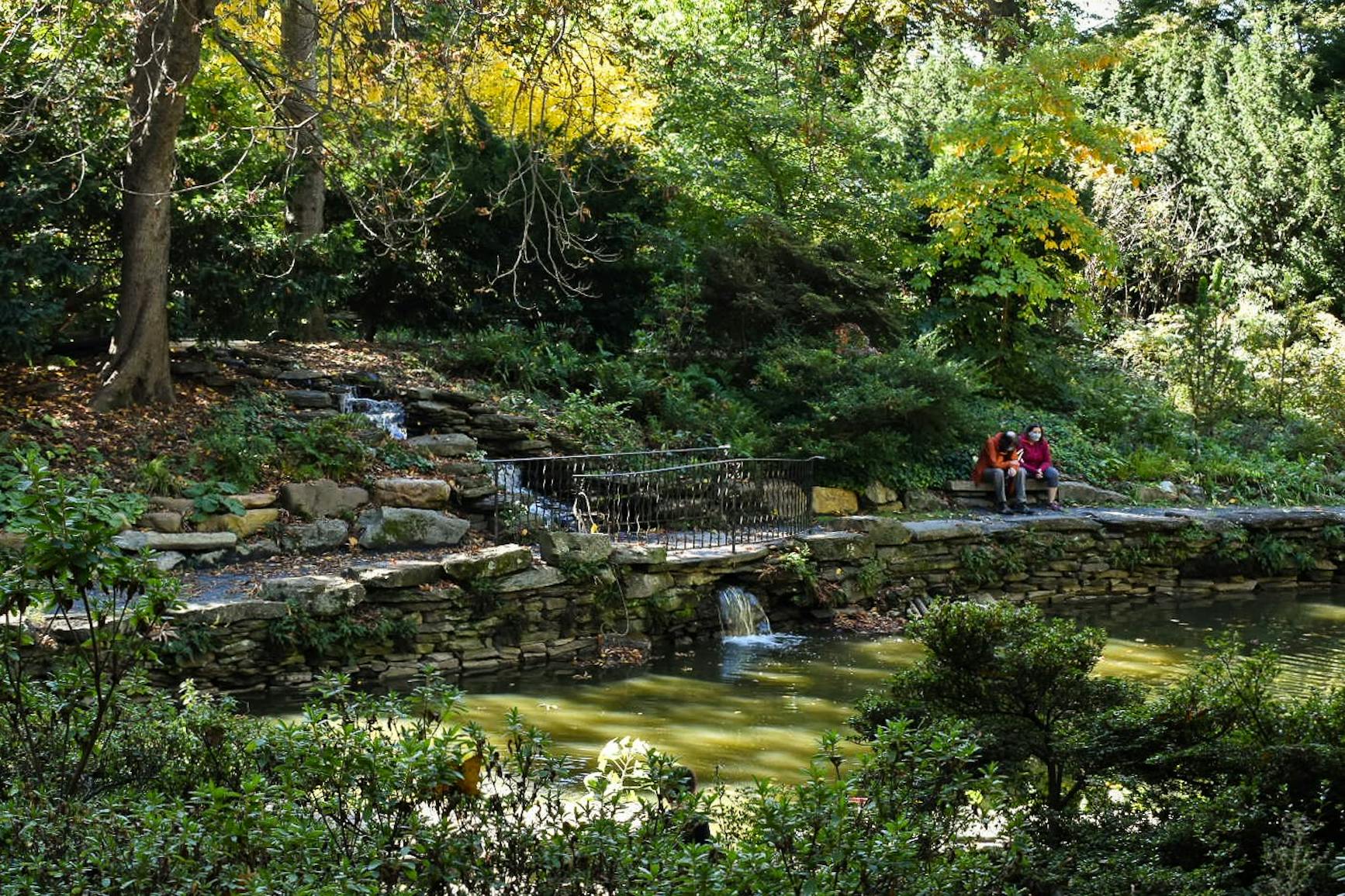 Outdoor Quarantine Study Spots BioPond.jpg