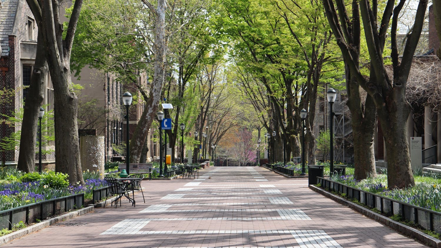 Empty Locust Walk Spring 2020 Coronavirus.jpg