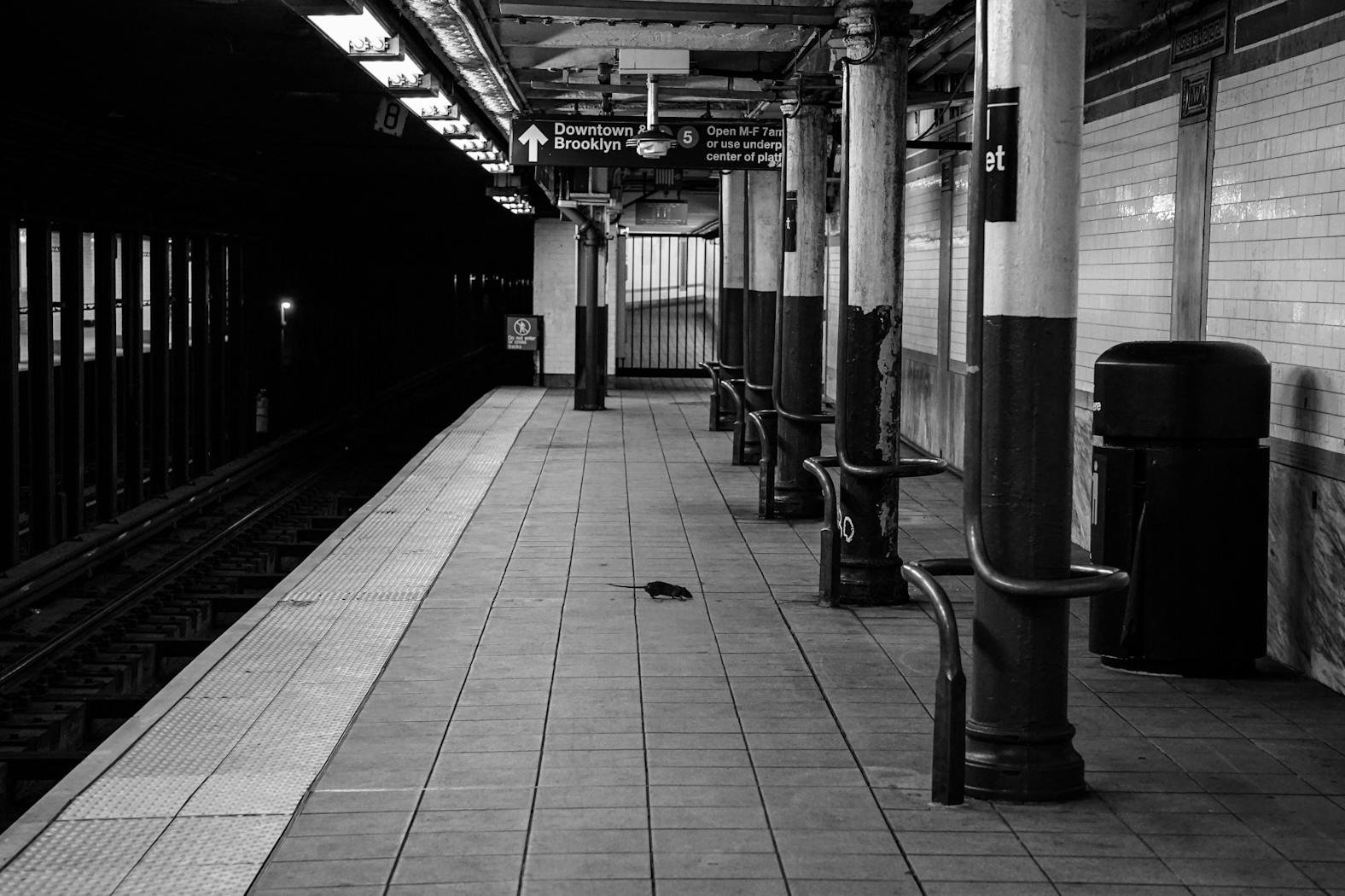 Coronavirus in NYC - by Chase Sutton 020.jpg