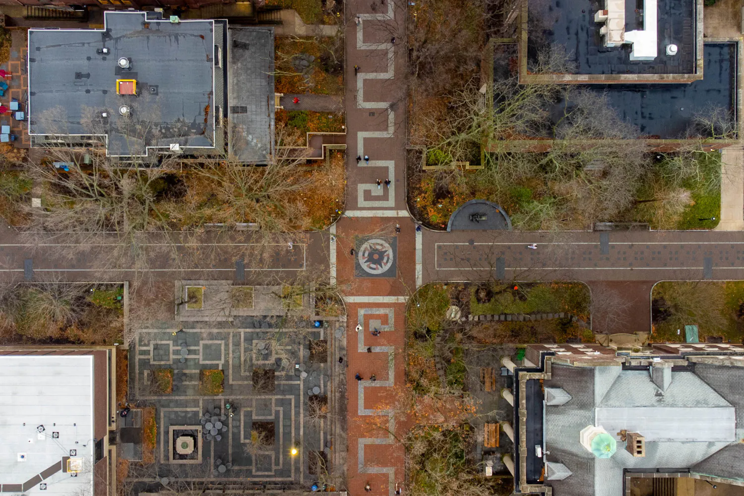 03-04-26 Locust-Compass Aerials (Abhiram Juvvadi).jpg