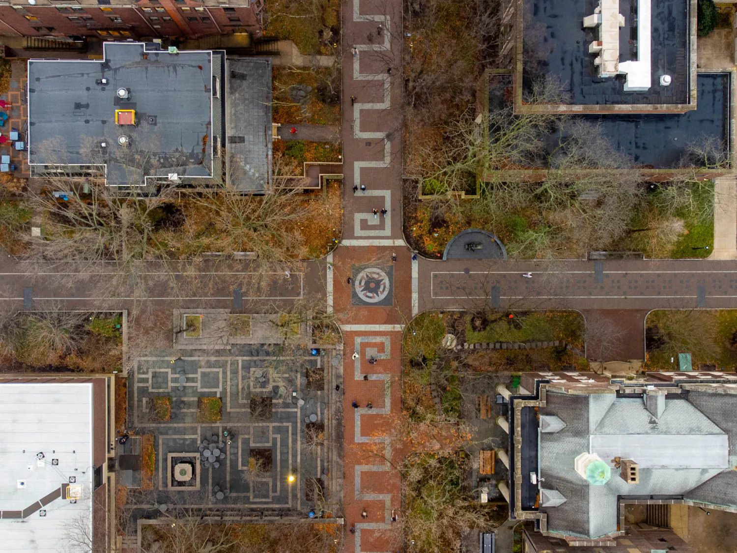 03-04-26 Locust-Compass Aerials (Abhiram Juvvadi).jpg