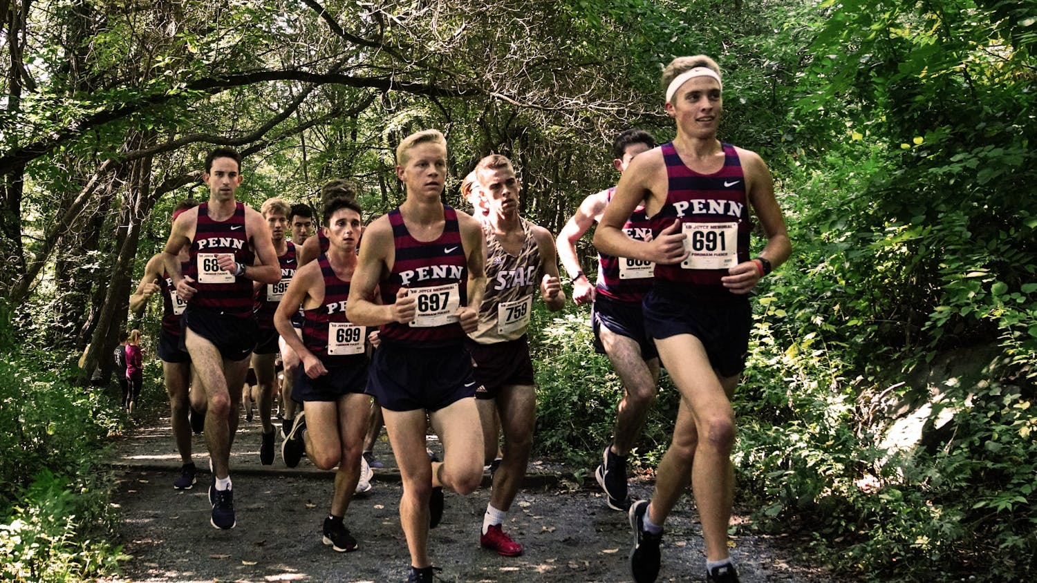 Andrew Hally Mens XC Cross Country.jpg
