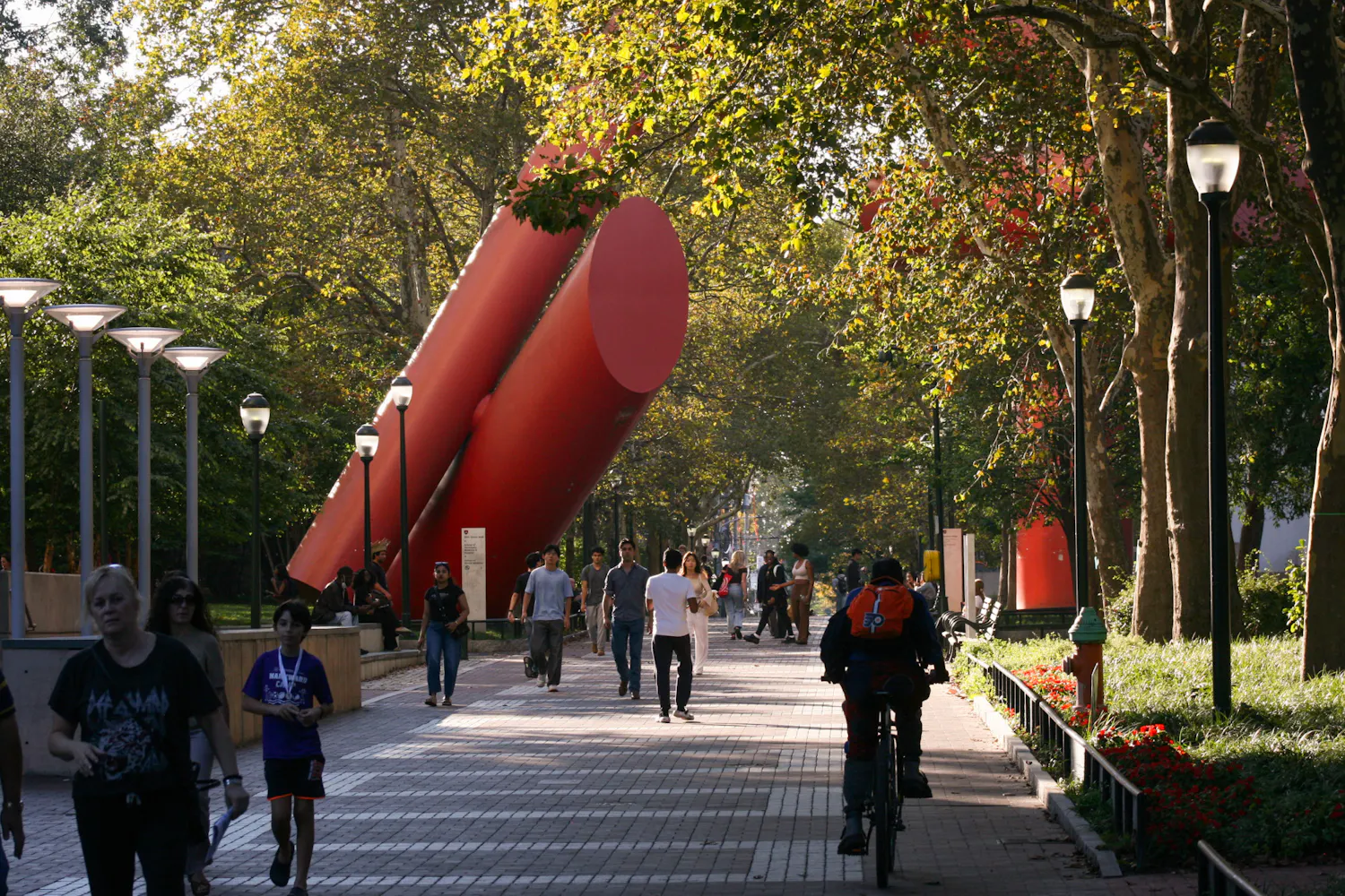 09-28-25 Locust (Hans Bode).jpg