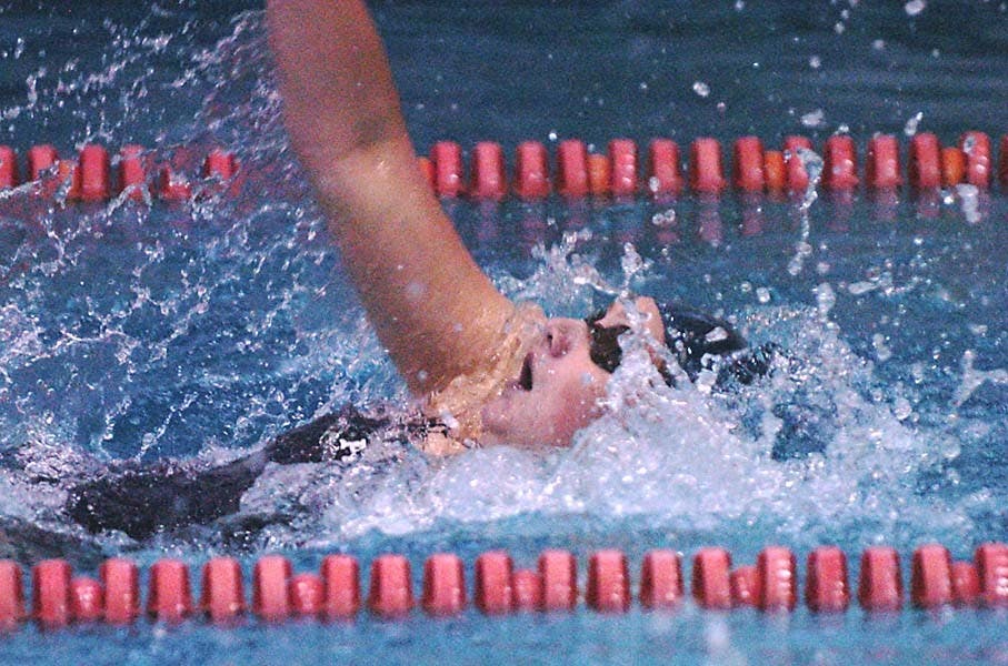 W. Swimming | Delphin returns to water