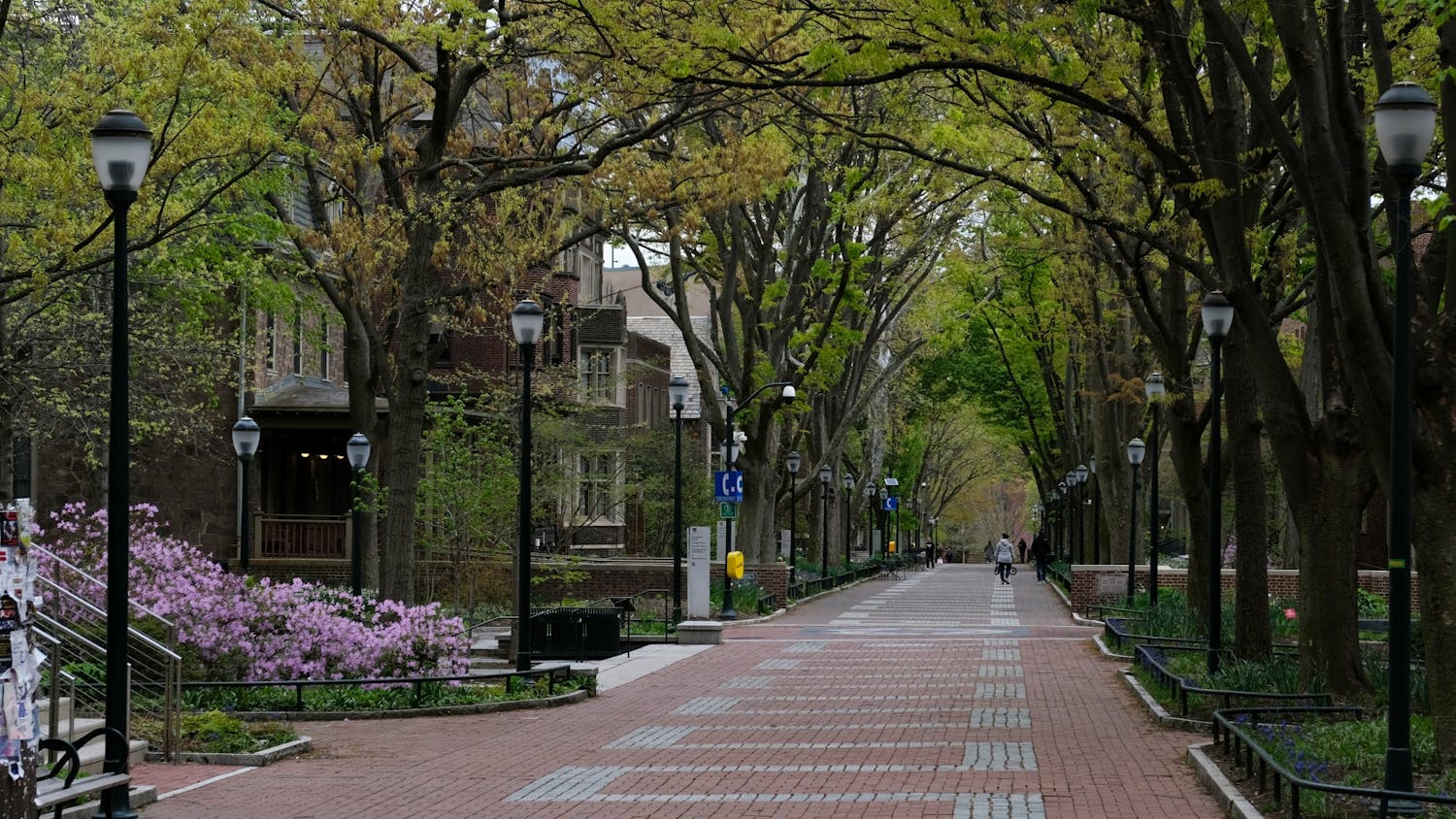 Empty Campus Spring Semester.jpg