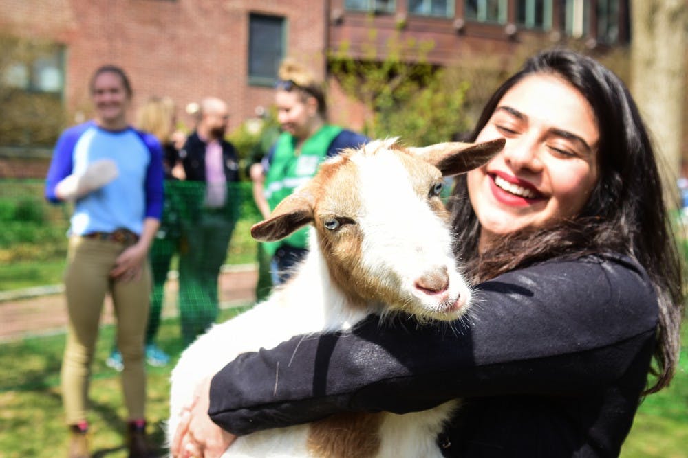 2019-wellness-week-goats-day-of-play