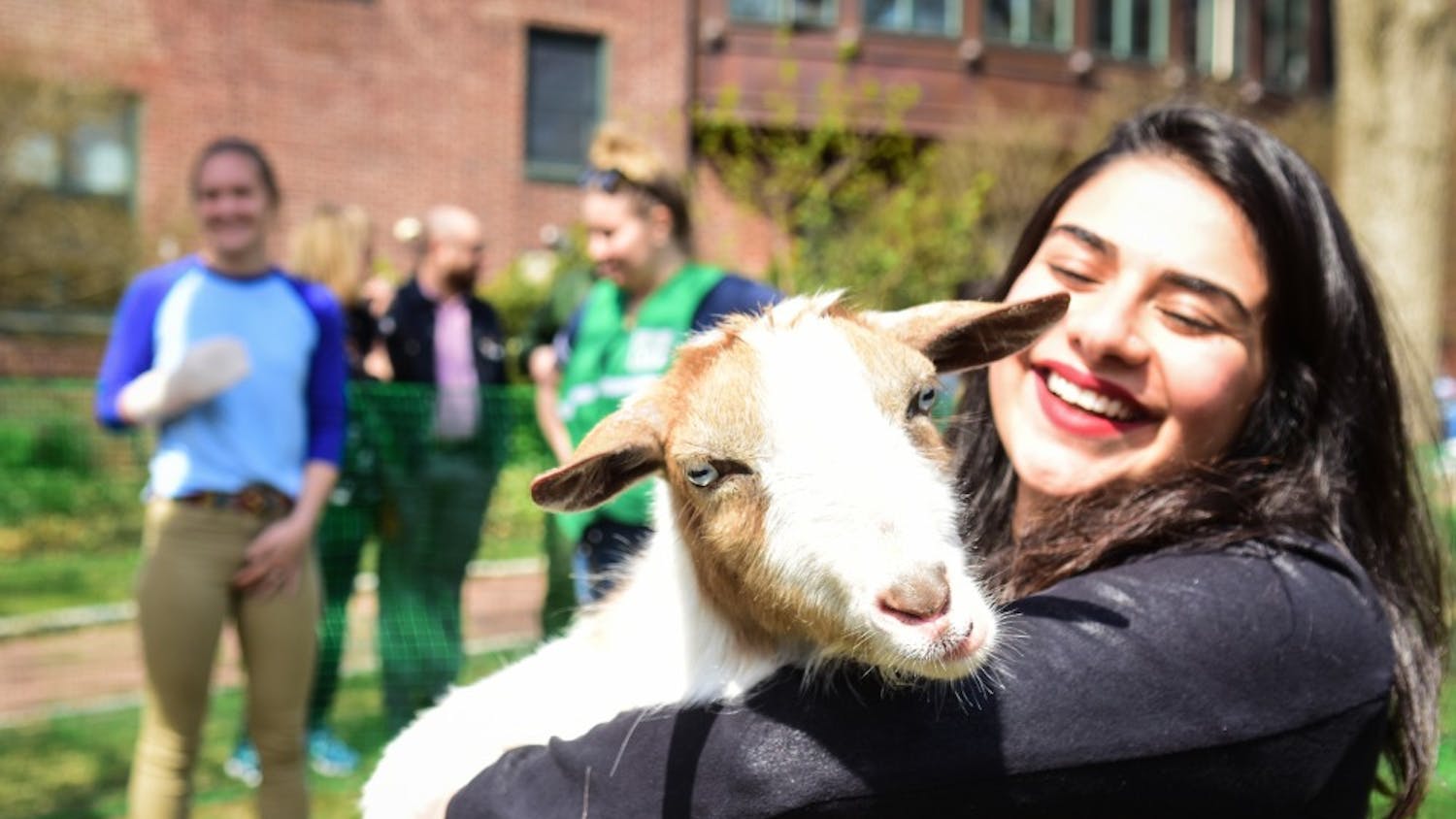 2019 Wellness Week Goats Day of Play.jpg