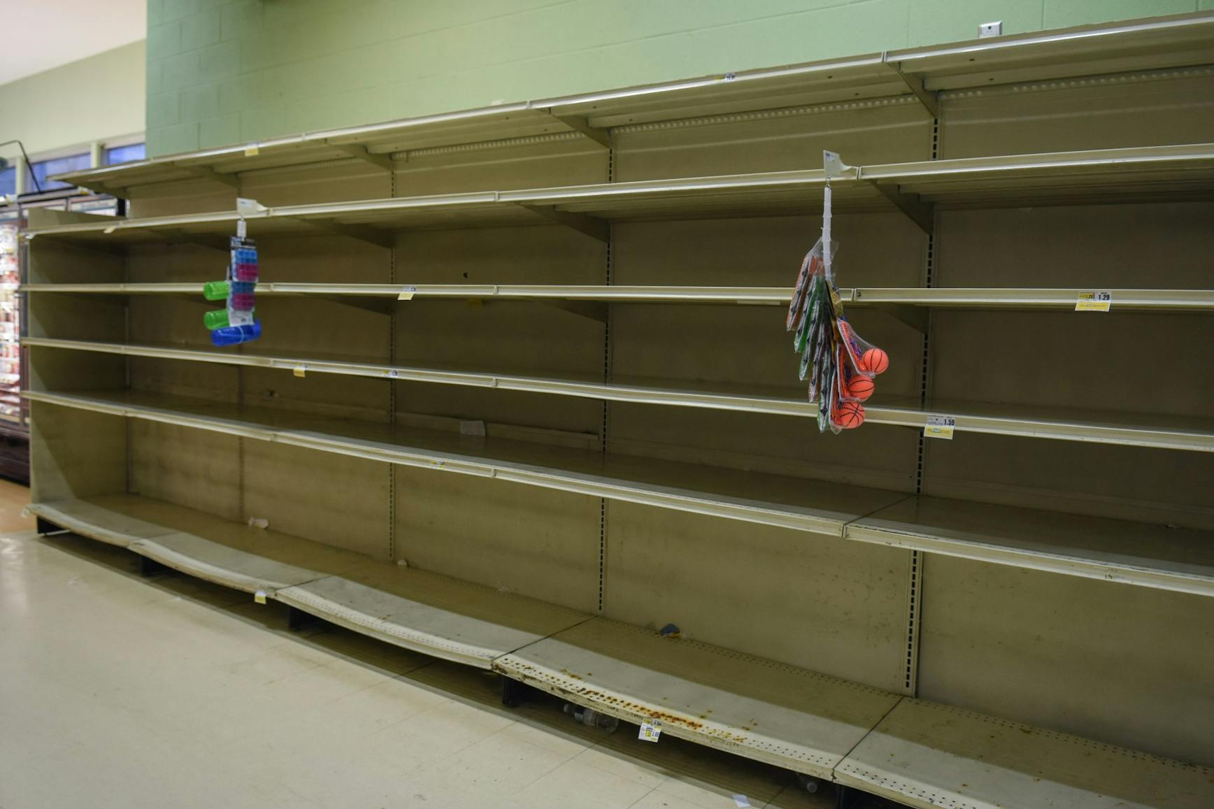 Frogro Empty 002.jpg