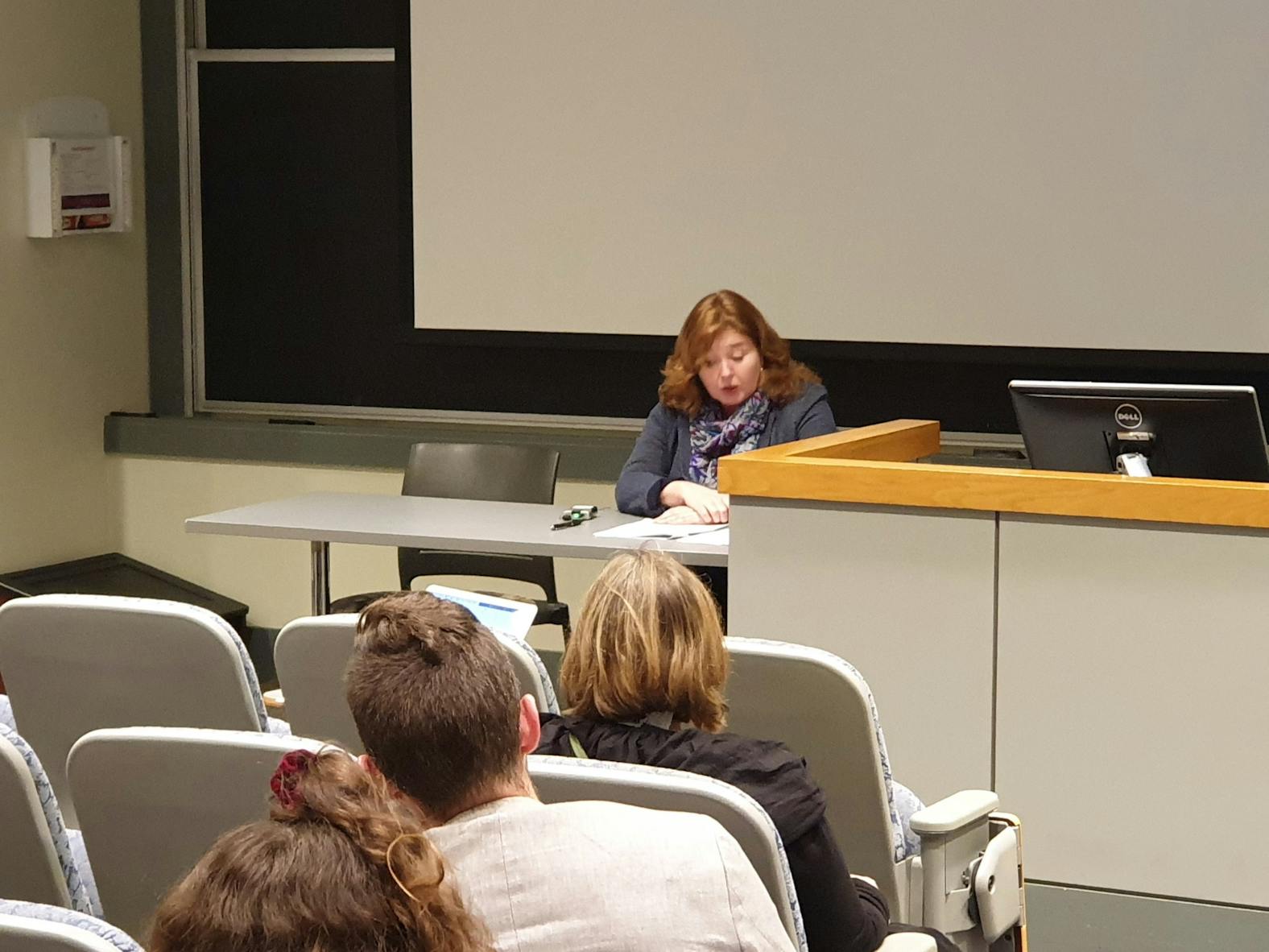 Amy Hawthorne Egyptian President Abdel Fattah al-Sisi Event