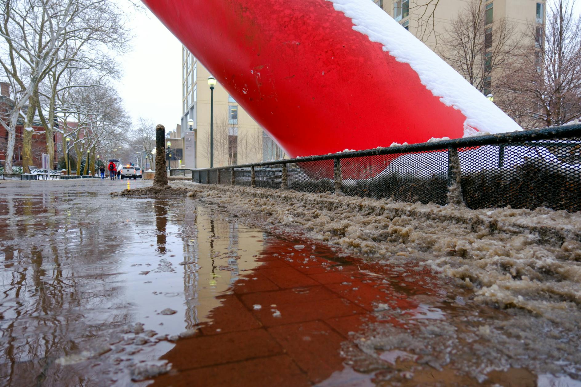 01-16-23 Snow at Penn (Abhiram Juvvadi)-04.jpg