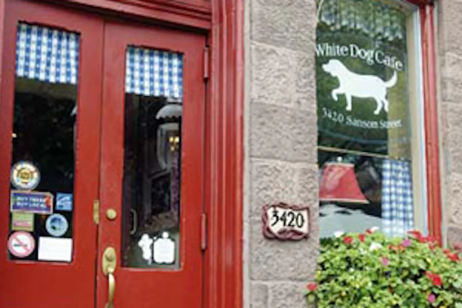 Drink bottled water? Not at White Dog