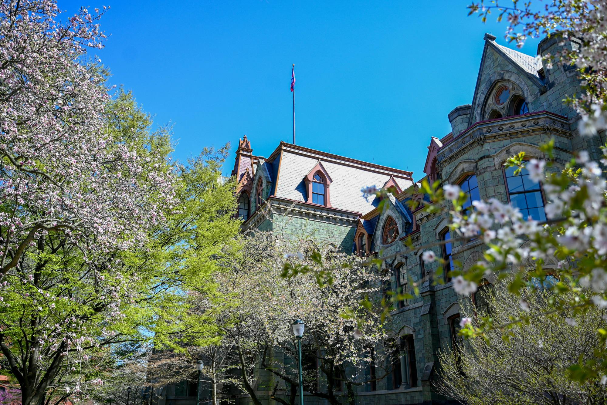 04-09-25 Campus (Jean Park)-1.jpg