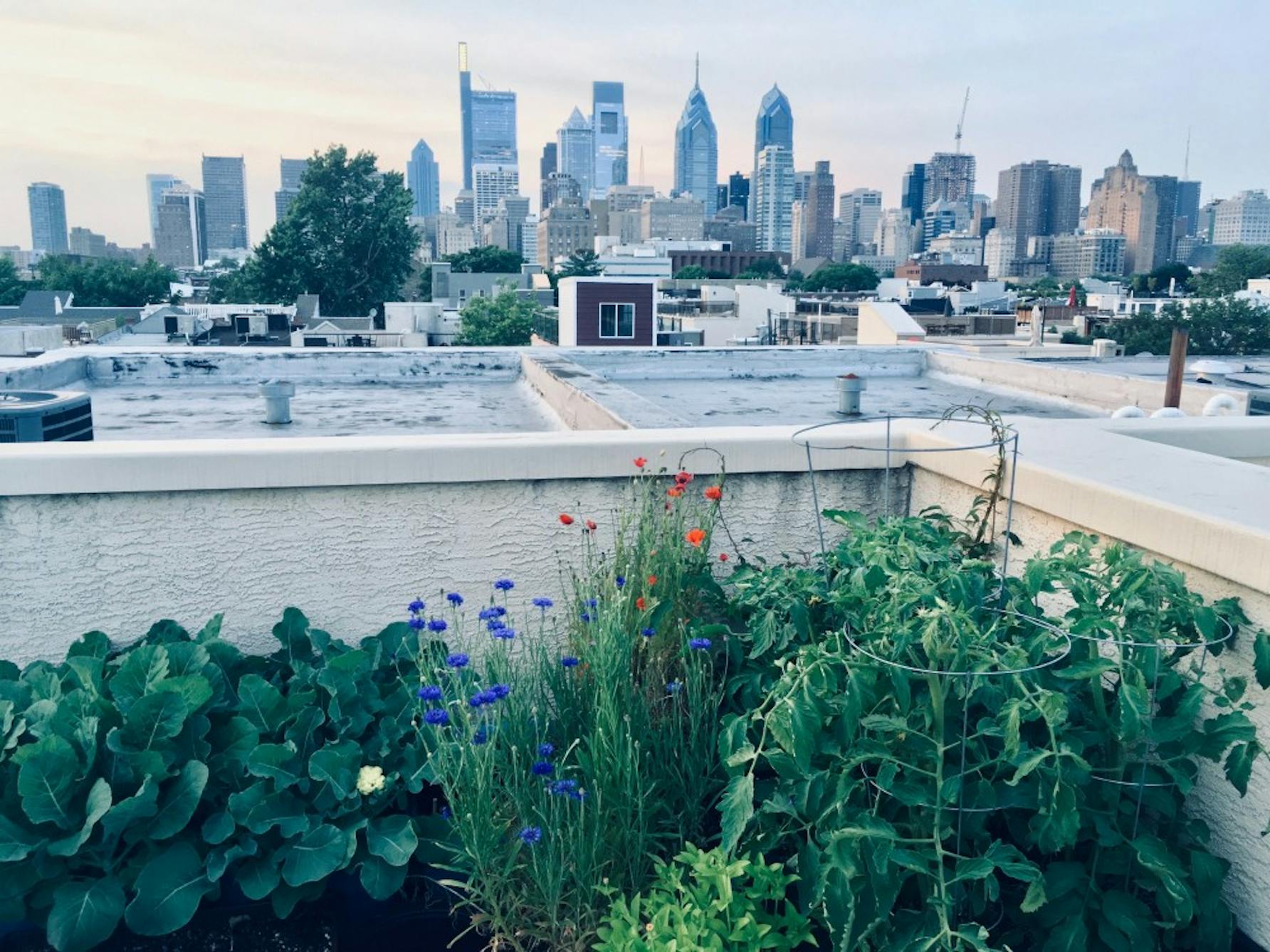 philadelphia flower show