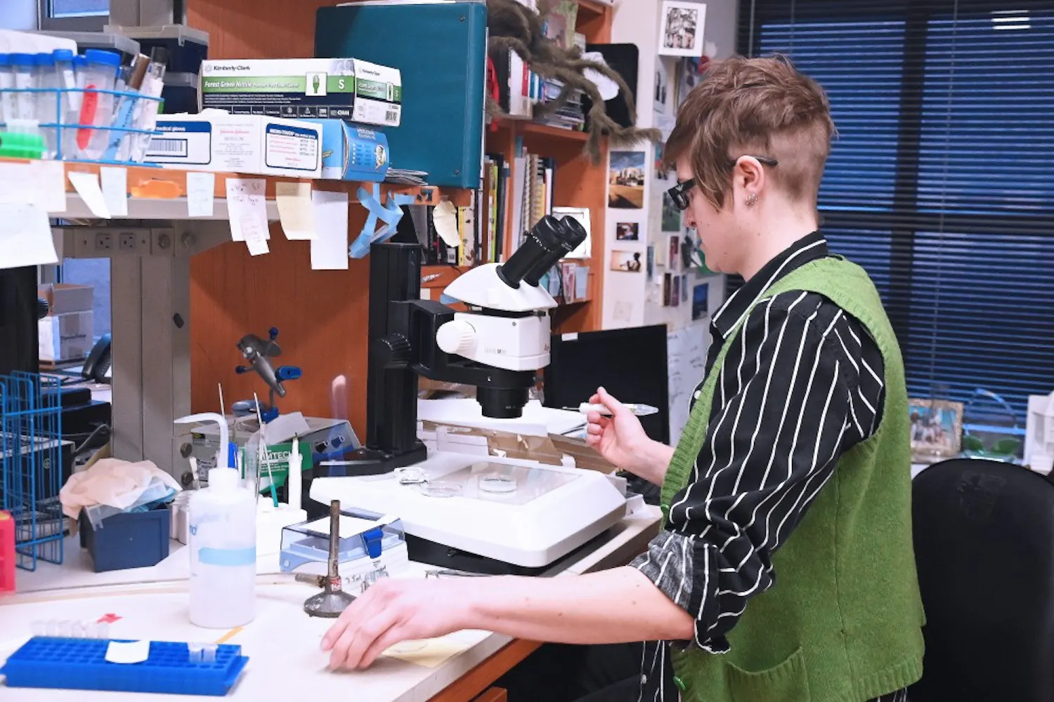 murry labs elicia preston