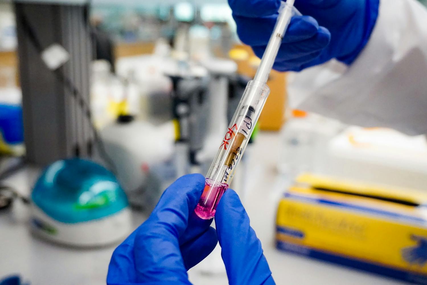 Lab Immune Cells.jpg