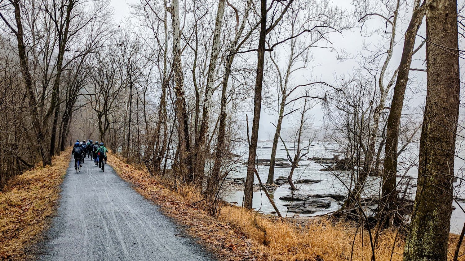 LGST 299 Spring Break Trip 01 (Photo from Sarah Light).jpg