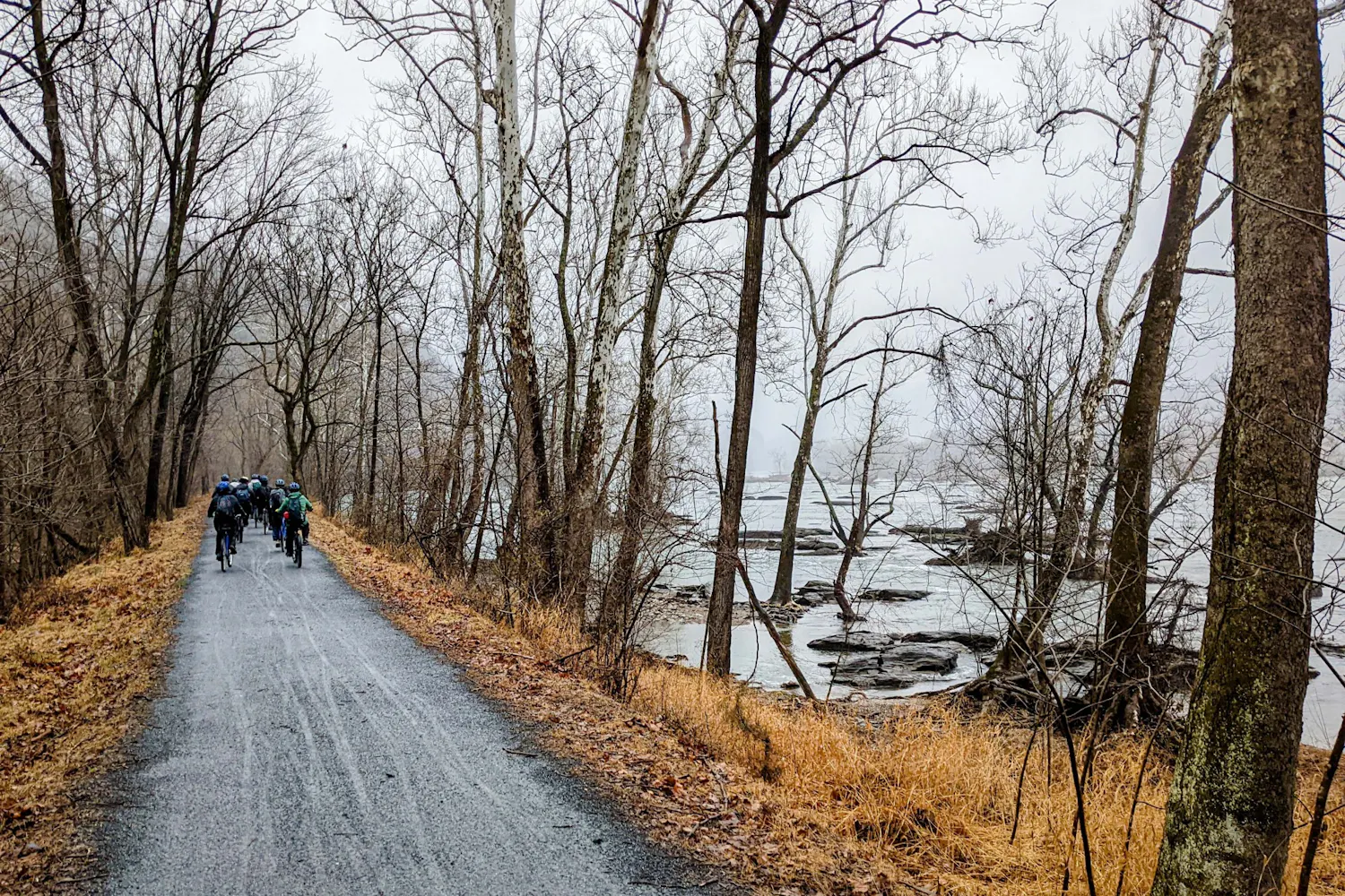 LGST 299 Spring Break Trip 01 (Photo from Sarah Light).jpg