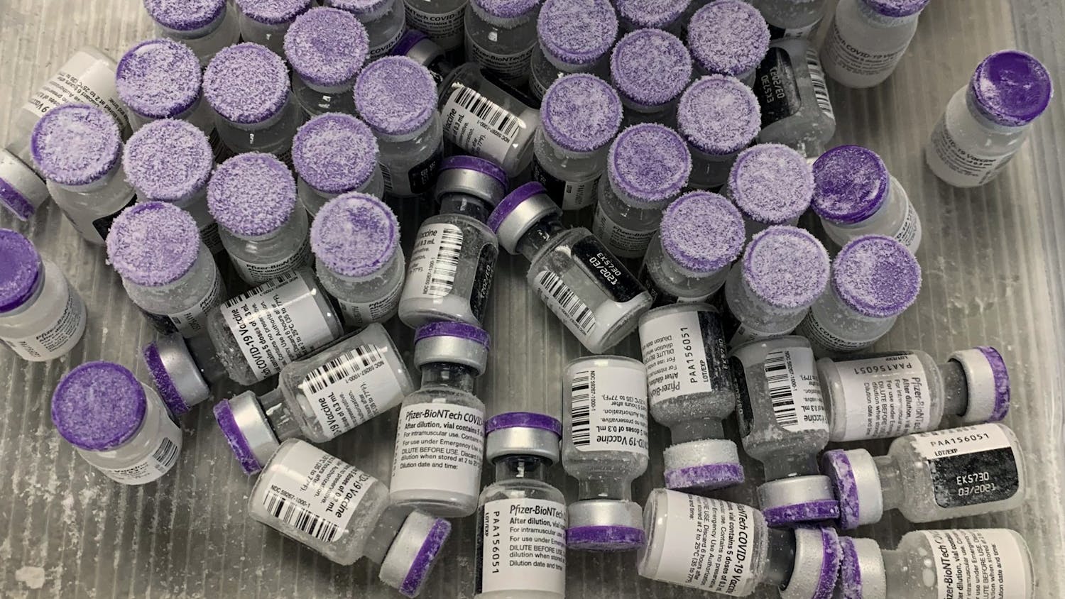 Pfizer Vaccine Philly New Distributor