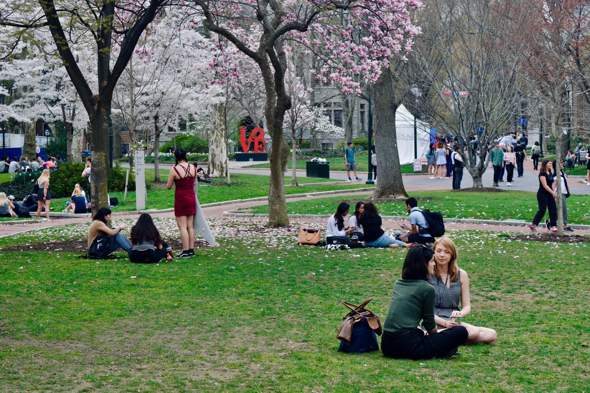 001 Transition Photo Essay College Green Full 001.jpg