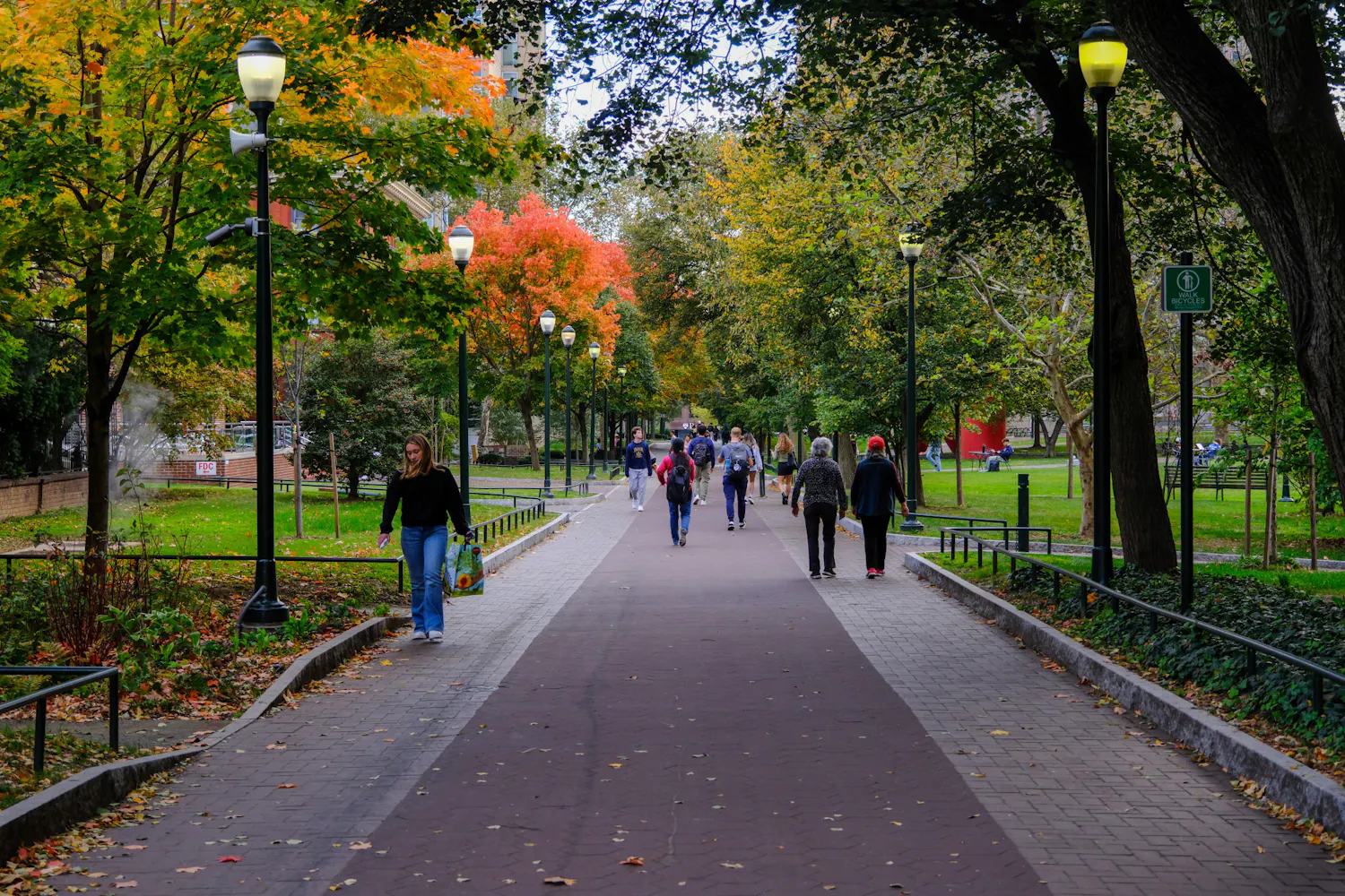 10-25-23 High Rise Field Walkway (Abhiram Juvvadi).jpg