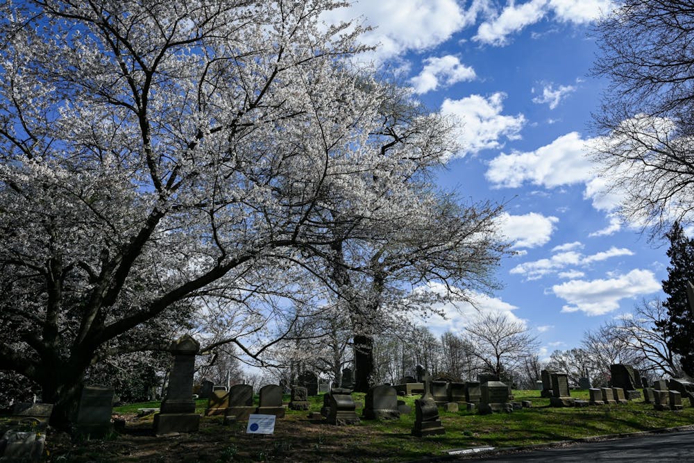 04-02-21-woodlands-cemetery-kylie-cooper