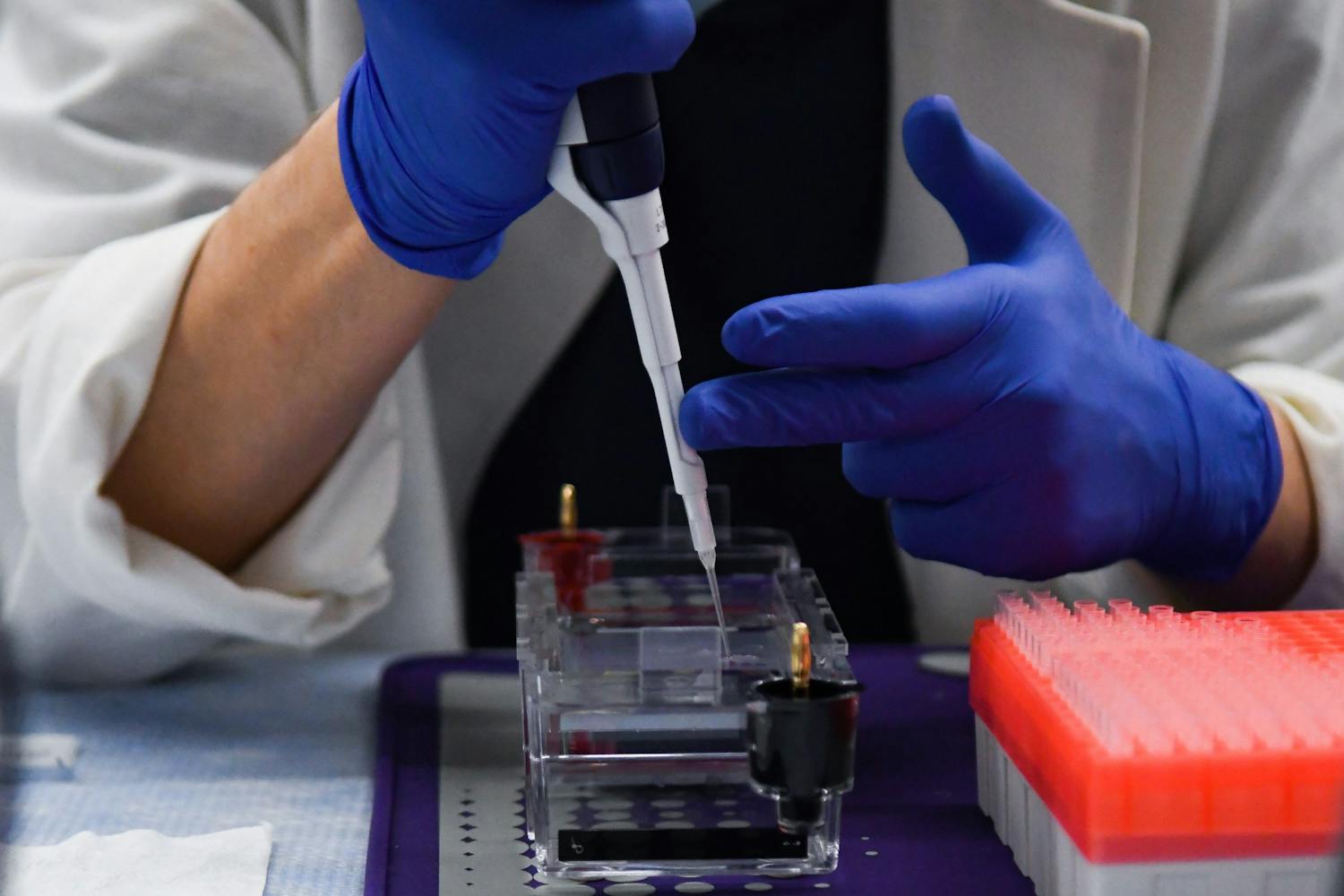 In-Person Research Penn Medicine Pipette Tube Gel Electrophoresis.jpg