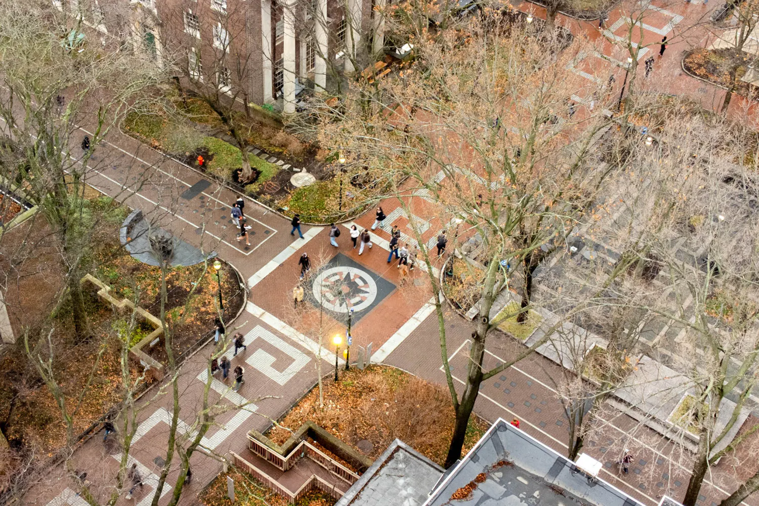 03-04-26 Locust-Compass Aerials (Abhiram Juvvadi).jpg