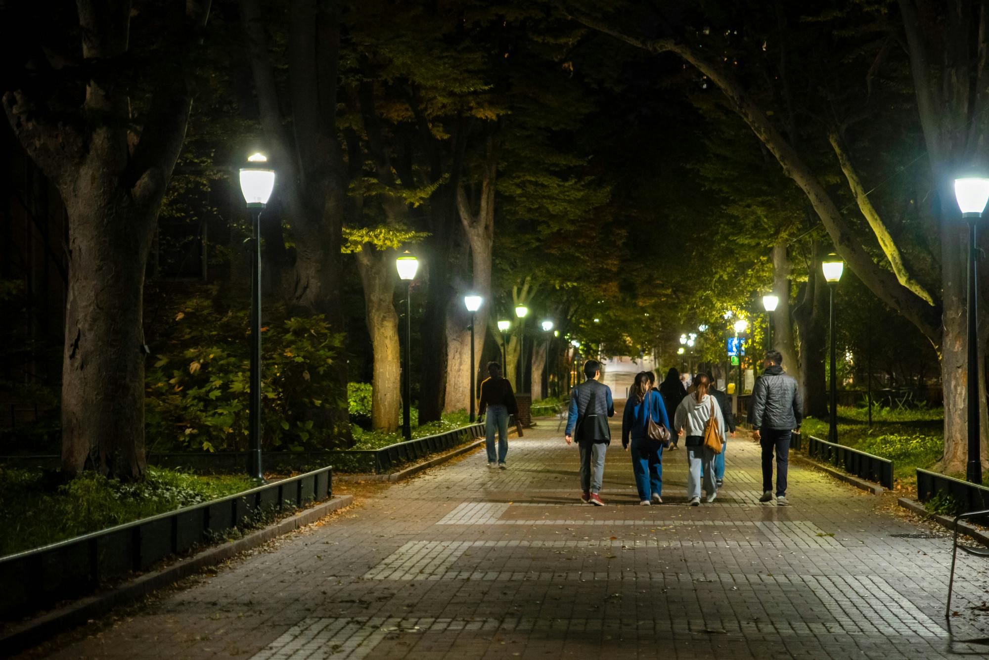 10-26-25 Campus at Night (Chenyao Liu).jpg