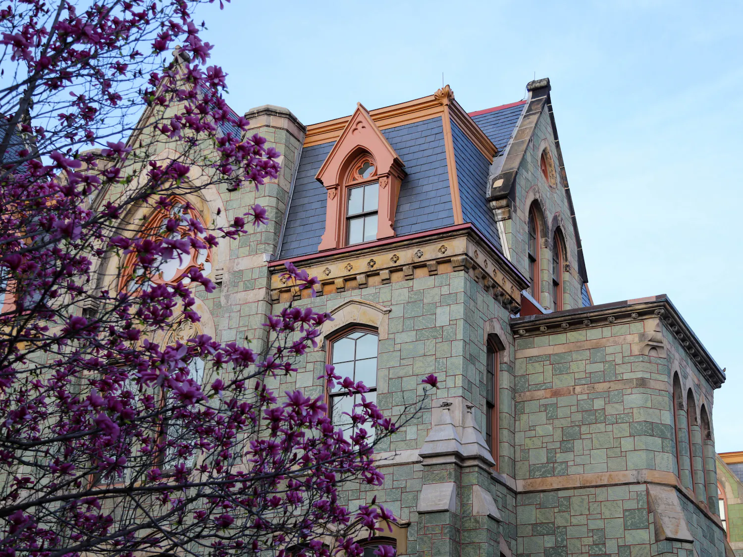 04-01-26 Campus photowalk (Connie Zhao)-1.jpg