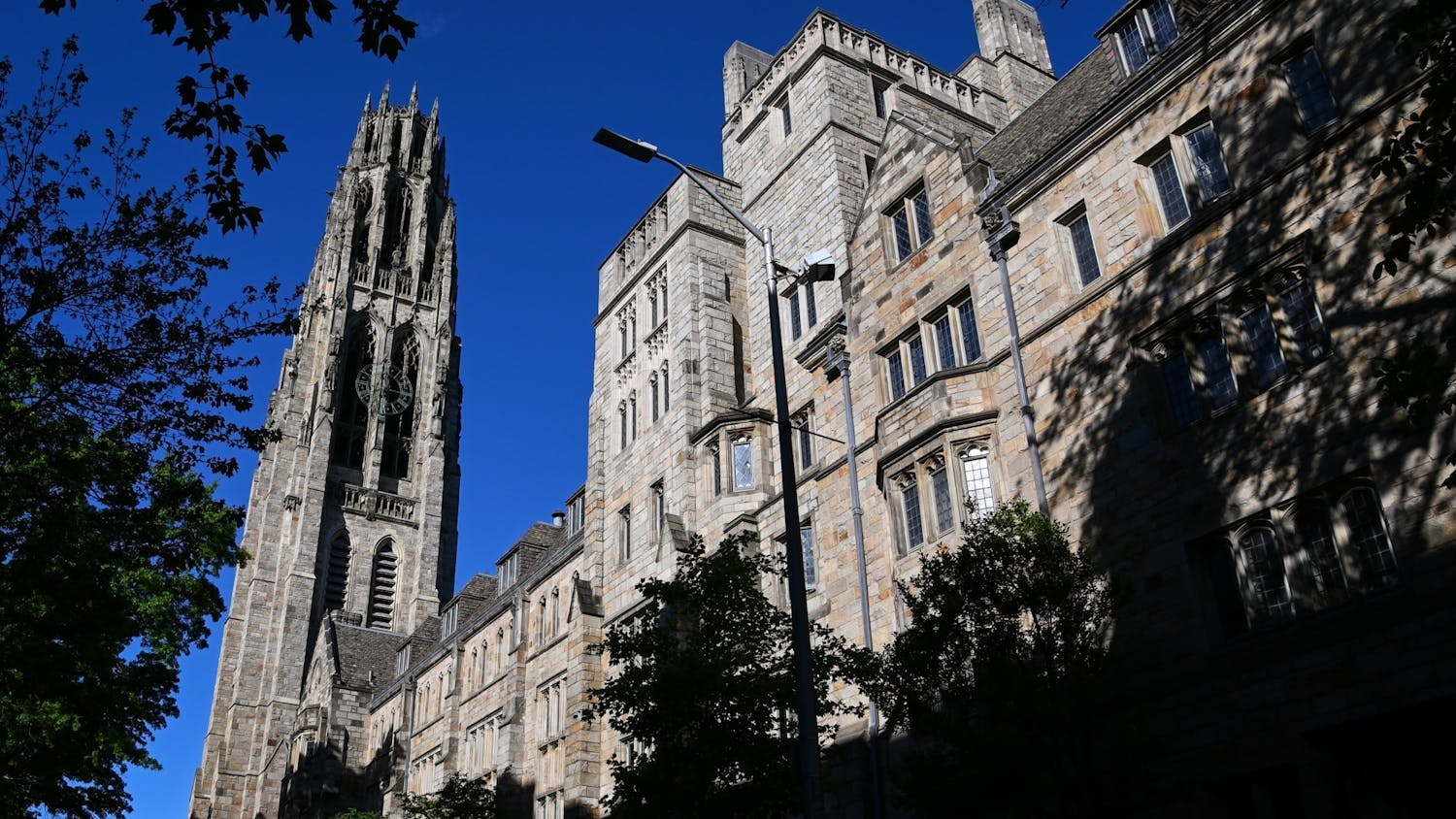Yale University (Kylie Cooper).jpg