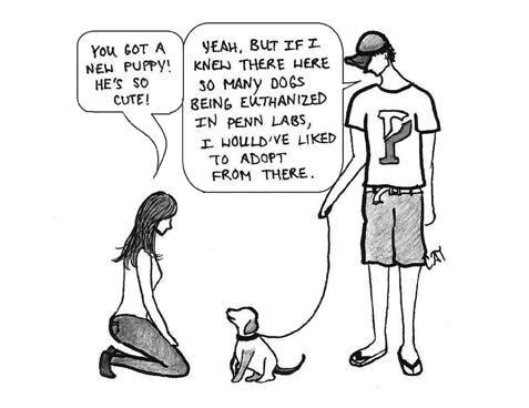 Catherine Tien | New puppy